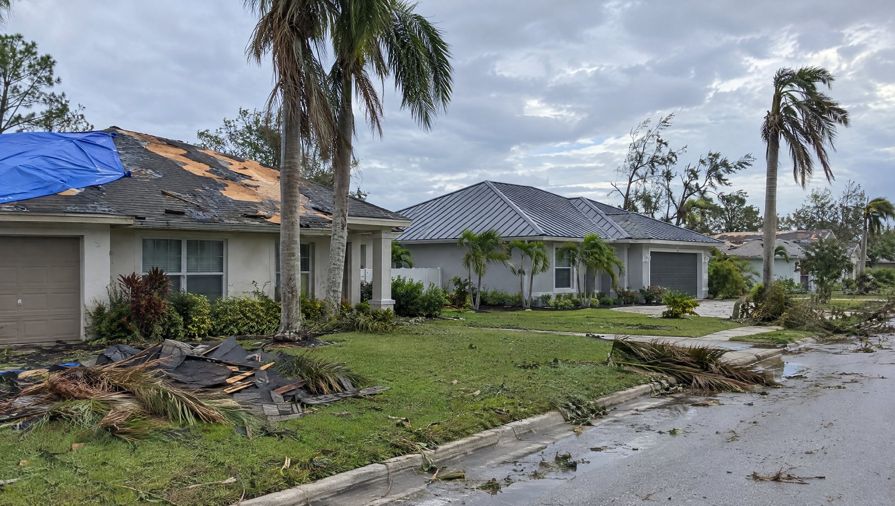 After a hurricane, a shingle roof with missing shingles and a blue tarp in the foreground, and an intact standing seam metal roof on the house behind it