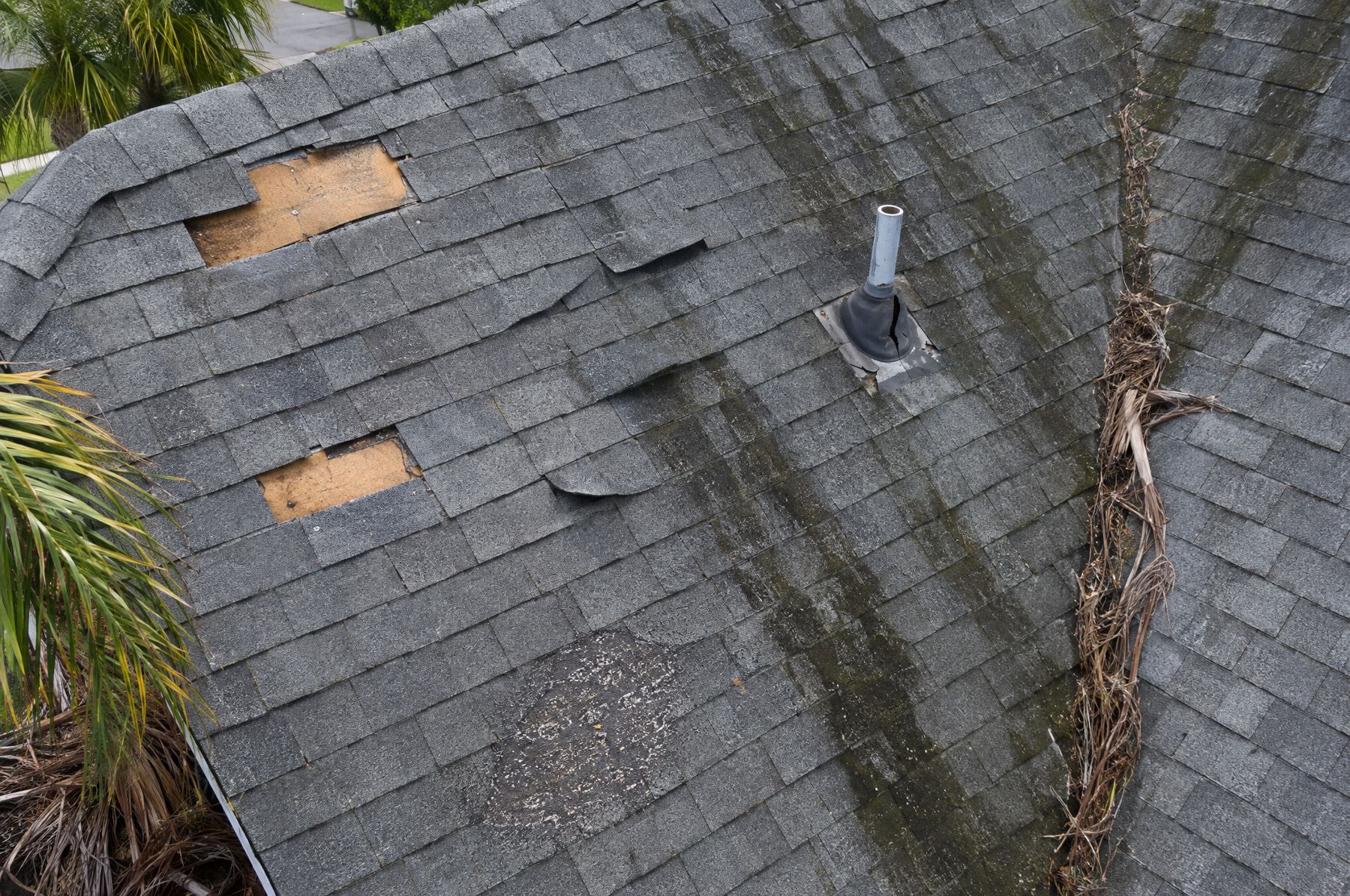 Drone view of an aging gray shingle roof with two missing shingles, wind-lifted tabs, a cracked vent boot, dark algae streaks, a bald patch of granule loss and palm debris in a valley