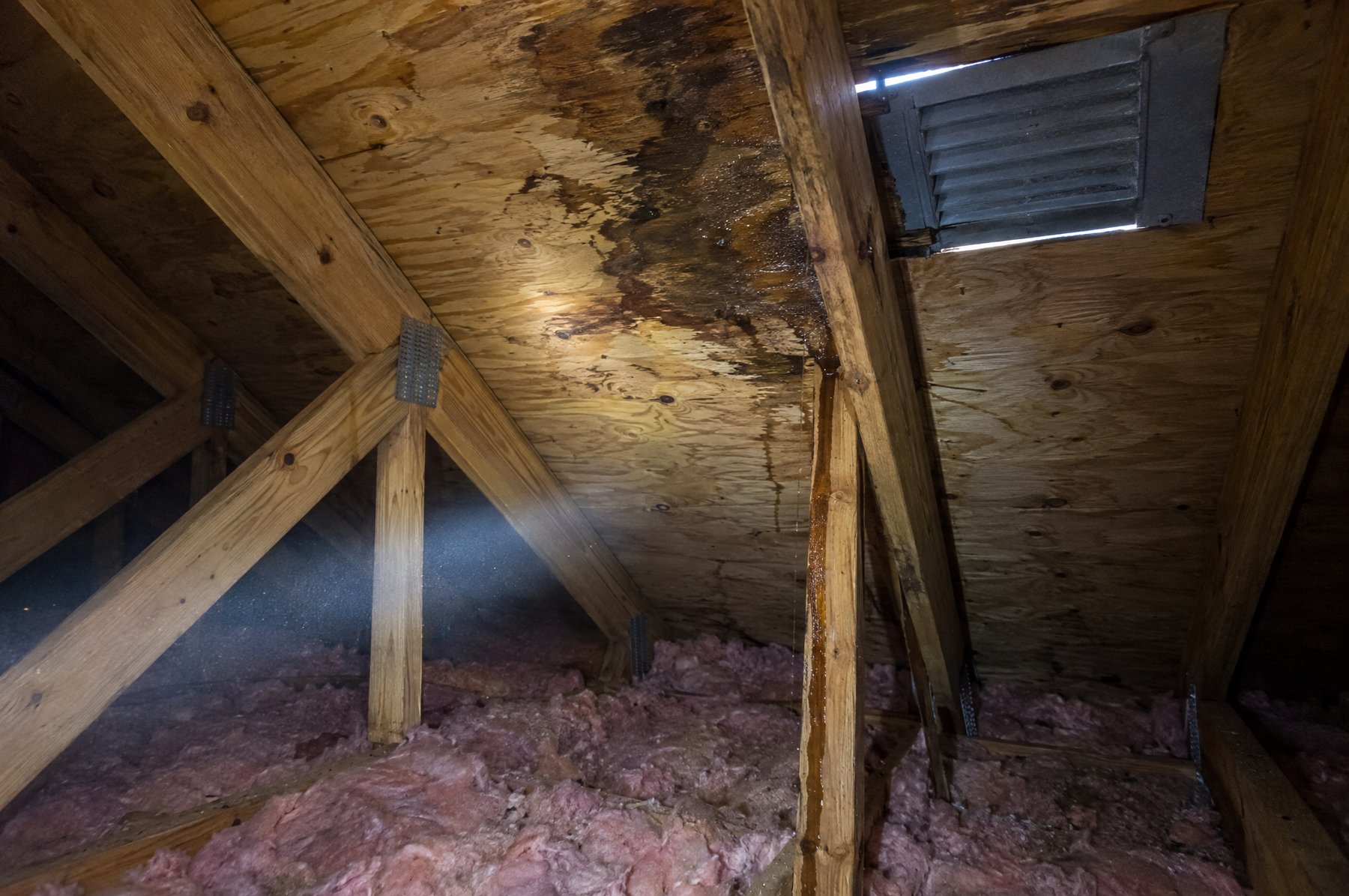 Inside a Florida attic, a dark water stain spreads across the plywood roof deck beside a truss, with a flashlight beam crossing the dusty air